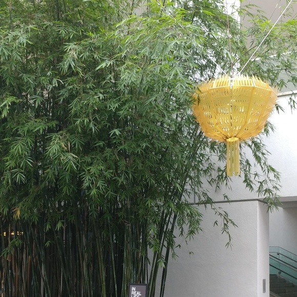 Profile Picture of Alice Lee (@alice85) on Poshmark