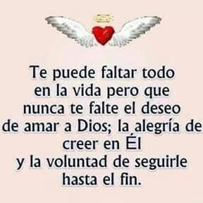 Profile Picture of Alex Neira (@alexneira61) on Twitter