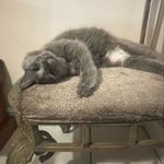 Profile Picture of Craig Spangler (@craigfspangler) on Instagram