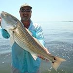 Steve Miele - Instagram Profile Picture of Steve Miele (@steve.miele.5) on Instagram