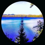 Profile Picture of Jacob Rick (@ur_homie_swaggy_white_boy) on Instagram