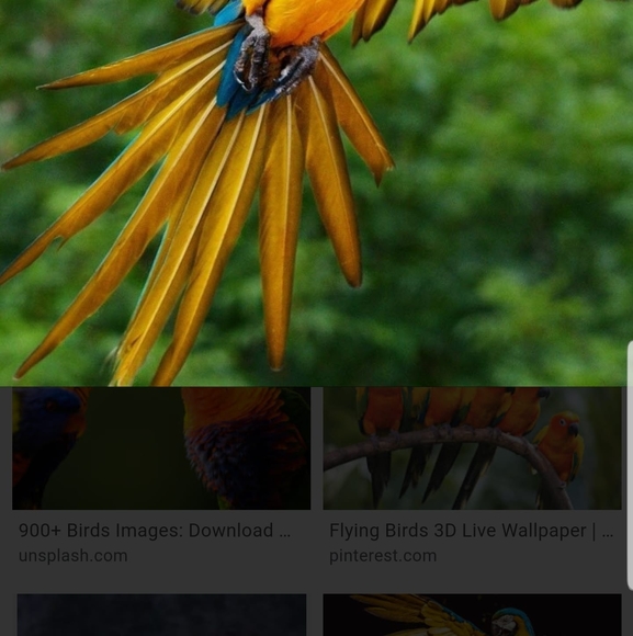 Profile Picture of Alhons Munganga (@alhonsmunganga) on Poshmark