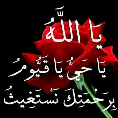 Adam Hashem - Twitter Profile Picture of Adam Hashem (@adamhashem2000) on Twitter