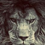 Profile Picture of Jade Stauffer (@darkness_tzzg) on Instagram