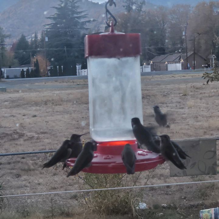 Profile Picture of Amy Berg (@@amyberg4) on Tiktok