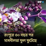 Profile Picture of Nill Akasher Chad (@sumi.khan.244733) on Facebook