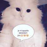 Profile Picture of Perrine Richard (@pinouric) on Instagram