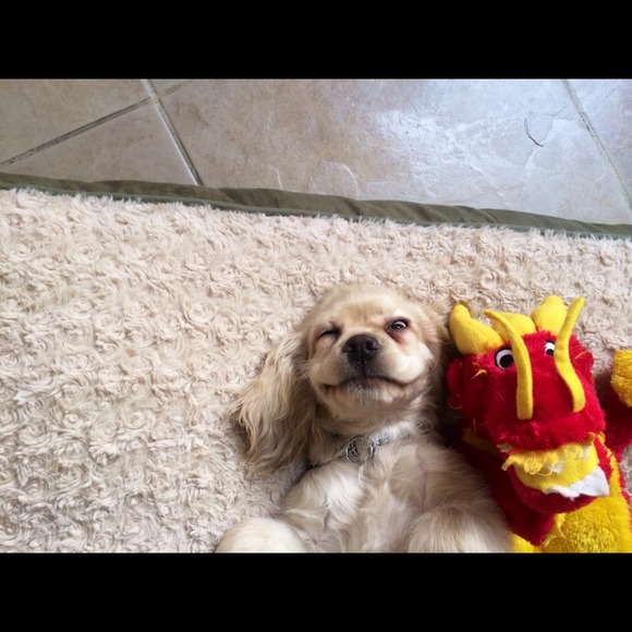 Profile Picture of Camila Lima (@camilabat) on Poshmark