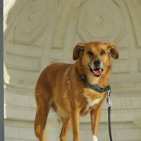 Profile Picture of Todd Molin (@todd-molin) on Quora