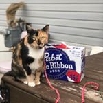 Profile Picture of Tony Hallick (@tonyhallick) on Instagram