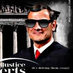 Profile Picture of Chief Justice John Glover Roberts Jr. (Fake) (@chiefroberts05) on Twitter