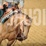 Profile Picture of Günter Schmidt (@guenter.qh) on Instagram