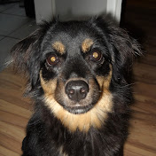 Profile Picture of Naomi Heller (@naomiheller3320) on Youtube