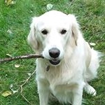 Profile Picture of Caryn Uebelacker (@carynubie) on Instagram