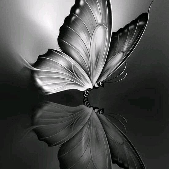 Profile Picture of أمير ناظم (@amirnazem) on Tiktok