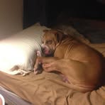 Profile Picture of Jason Spegal (@jason.spegal.3) on Facebook