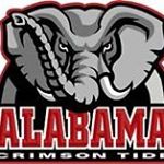 Michael A Hathaway - Instagram Profile Picture of Michael A Hathaway (@whytecoyote) on Instagram