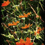 Profile Picture of Bryant Kirkpatrick (@bryantkirkpatrick) on Instagram