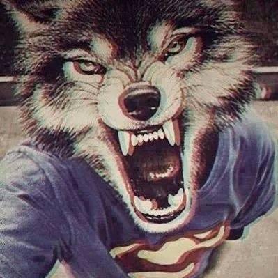 Profile Picture of Doug Hoffmann (@d0ugzao_) on Twitter