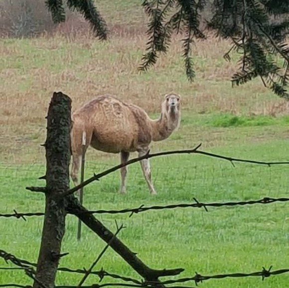 Profile Picture of Kimberly Reilly (@reilly513) on Poshmark