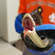 Profile Picture of Christopher Weber (@christopherweber4183) on Youtube