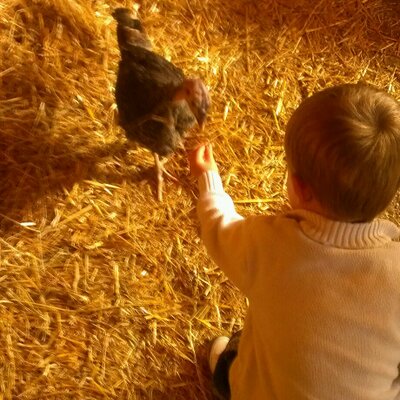 Profile Picture of Kyle Jeffery (@kylejeffery3) on Twitter