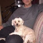 Profile Picture of Michael Carliell (@michaelcarliell) on Instagram