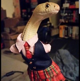 Profile Picture of Tylor Pasternak (@Tylor-Pasternak) on Facebook