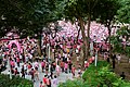 Profile Picture of Pink Dot SG - Wikipedia, the free encyclopediaon Wikipedia