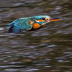 Profile Picture of Kevin Wood (@kevin_wood2) on Flickr