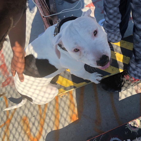 Profile Picture of Michala Wilson (@mickeyyy605) on Poshmark