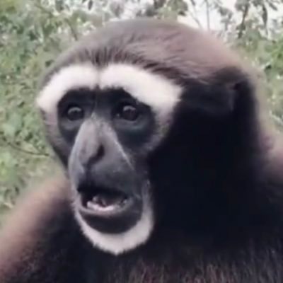 Profile Picture of Victor Corallo (@CoralloVictor) on Twitter