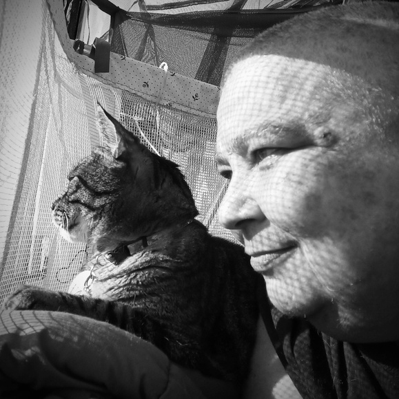 Profile Picture of Lynette r Trudeau (@trudeau39) on Poshmark