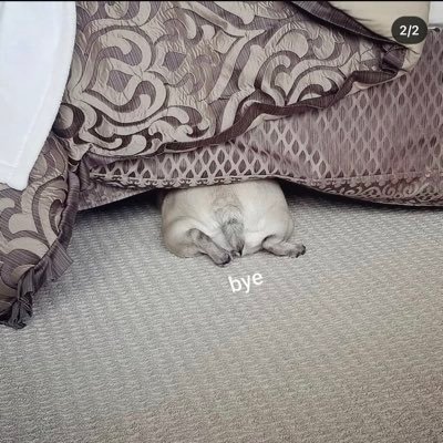 Profile Picture of Bye (@SkubisAnthony) on Twitter