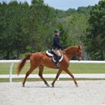 Profile Picture of Cathi Martin (@cathimartin81) on Instagram