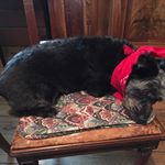 Profile Picture of Timothy Manning (@mmrtimmmm) on Instagram