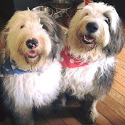 Profile Picture of Paul Gannon (@paulgannon3261) on Youtube