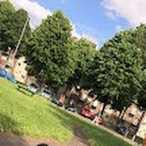 Profile Picture of Daniel Mazur (@daniel.mazur98) on Tiktok