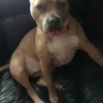 Profile Picture of Bobby Causey (@bobbycausey60) on Instagram