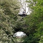 Profile Picture of Sam Hatch (@sam.____h) on Instagram