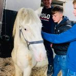 Profile Picture of Mark Heslin (@mark.heslin.71) on Facebook