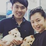 Full Time Sitter - Lisa&Steve - Instagram Profile Picture of Full Time Sitter - Lisa&Steve (@sydney.petboarding) on Instagram