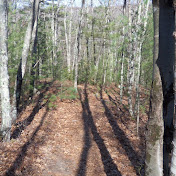 Profile Picture of Ryan Tozer (@thatdaytheflowers) on Youtube