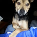 Profile Picture of Fabrizio Ruggiero (@fabrizio.ruggiero.37) on Facebook