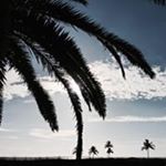 Profile Picture of James Kotas (@jameskotas) on Instagram