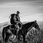 Profile Picture of G A V I N  D O D D (@gavinedodd) on Instagram