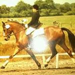 Profile Picture of Martin Johanns (@johannsmartin) on Instagram