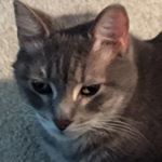 Profile Picture of Christine (@christine.loebbaka) on Instagram