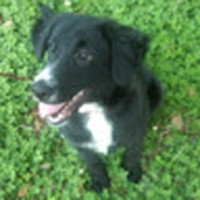 Profile Picture of Thomas Edenton (@thomas-edenton-1) on Quora