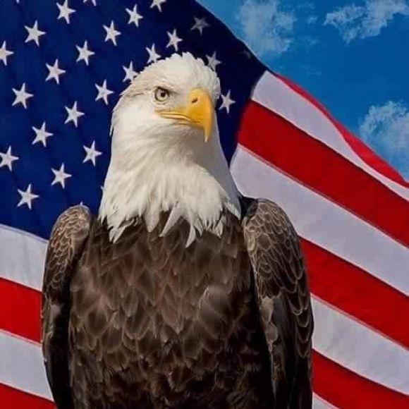 Profile Picture of Cory Mckinney (@bassmaster3968) on Poshmark